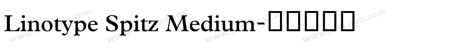 Linotype Spitz Medium字体转换